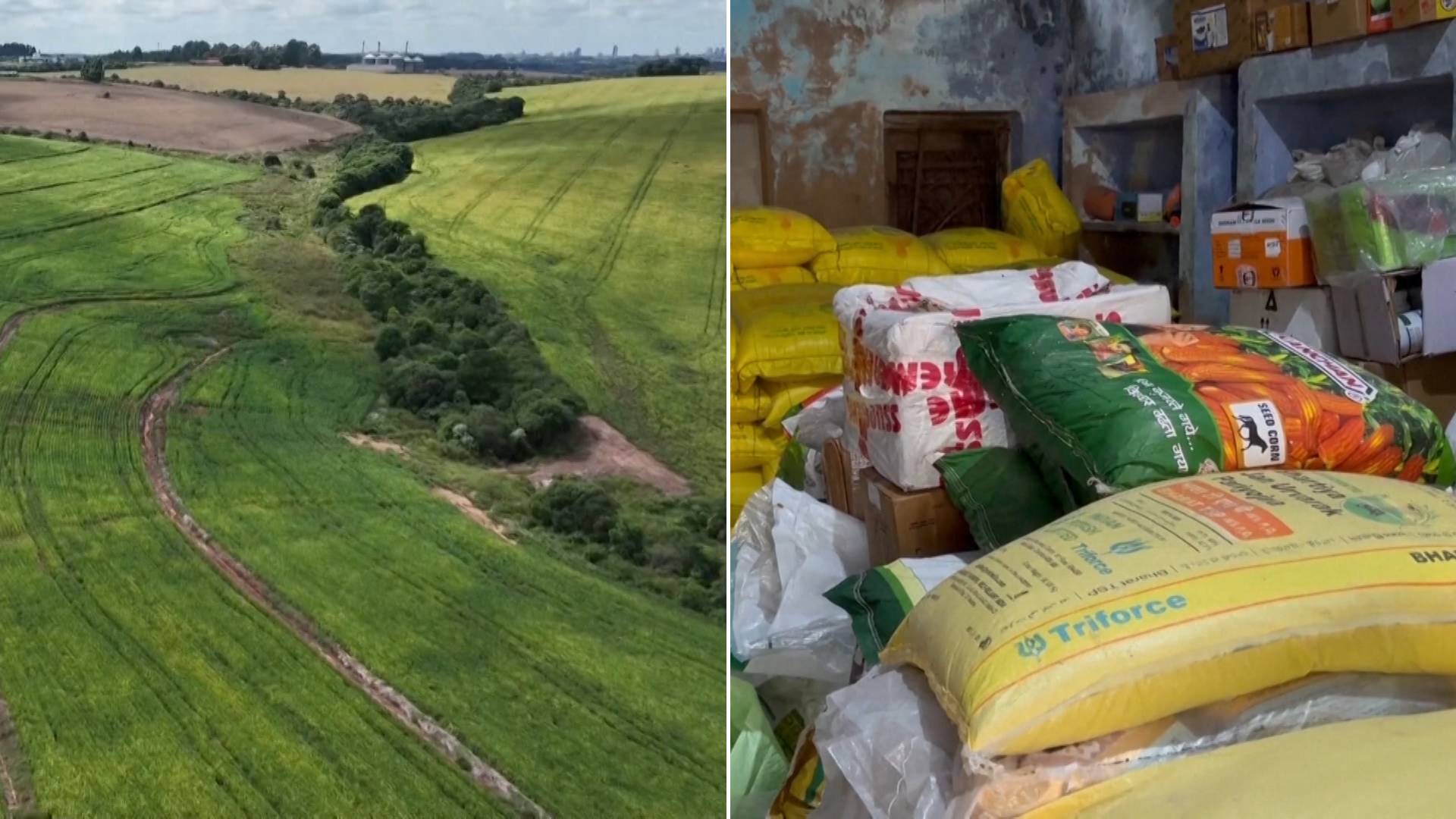 The Looming Food Crisis: Why the Strait of Hormuz is Disrupting Global Agriculture