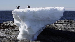 S2 penguins on ice climate change