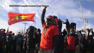 Dapl