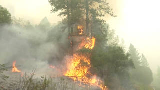 SEG2-Fires-1.jpg