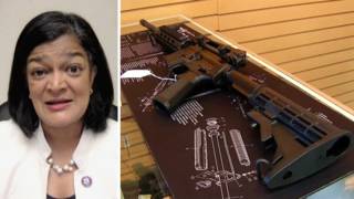 SEG5-Jayapal-v2.jpg