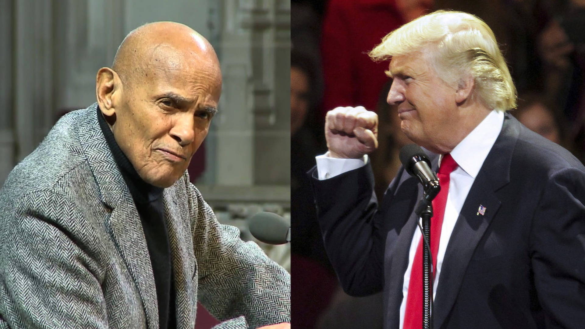 Welcome to the Fourth Reich”: Legendary Actor Harry Belafonte on the  Election of Donald Trump | Democracy Now!