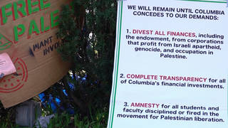 "We Don't Want to Trade in the Blood of Palestinians": Voices of Students & Profs at Columbia Protest