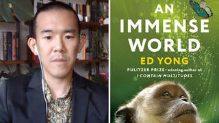 Edyong book