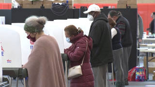 SEG3-Voting-3.jpg