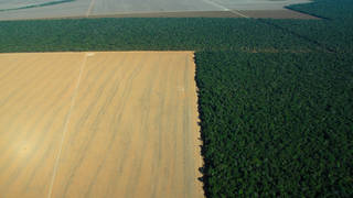 S2_Brazil-deforestation-Amazon.jpg