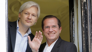 Julian assange ecuador embassy