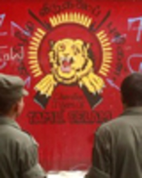 Tamiltigerweb
