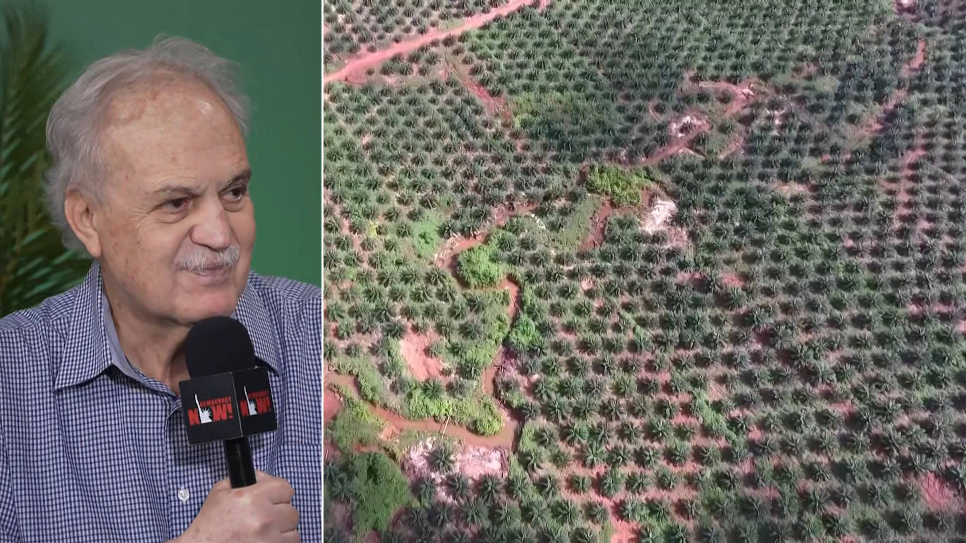 Amazon Rainforest Tipping Point: Scientist Warns of Critical Risk - News Directory 3