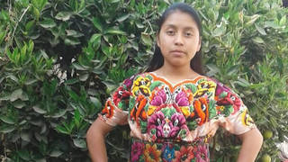 Seg claudia