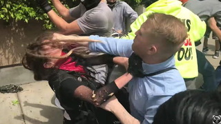 S8_Berkeley_Punch.jpg