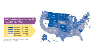 S1 suicide rate us cdc1