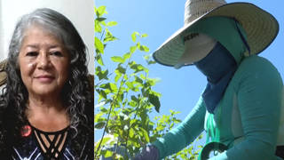 Seg3 farmworkers