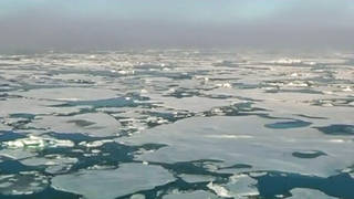 SEG1-Climate-3.jpg