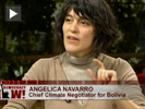 Navarro democracynow