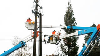 SEG2-PGE-2.jpg