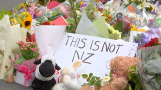 Seg1 thisisnotnz