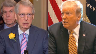 SEG2--McConnell-Trump-Split.jpg