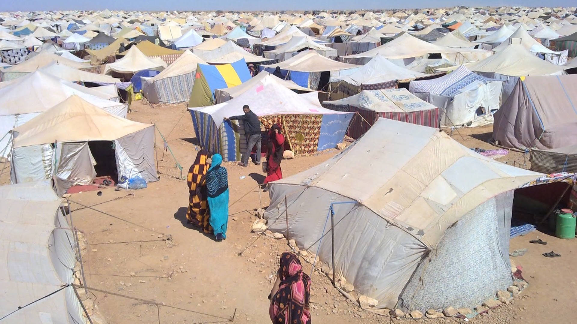 Will Biden Admin Reverse Trump S Dangerous Recognition Of Morocco S Occupation Of Western Sahara Democracy Now