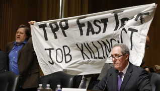 Tppprotest fixed2