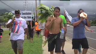 S2 maui gmo protest2